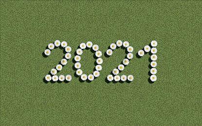 传统冒险游戏《老铁，我啤酒呢？》官方中文公开