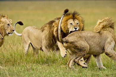 《最终幻想7：重制版》凯莉早期概念图 很撩人哟